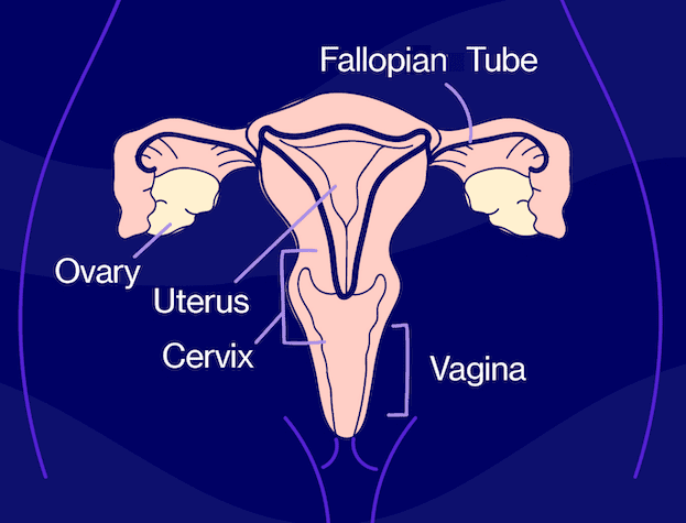 Vaginal symptoms